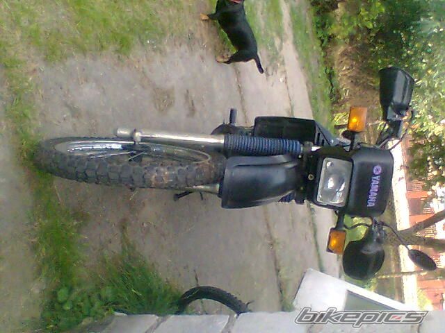 Photo 1503195