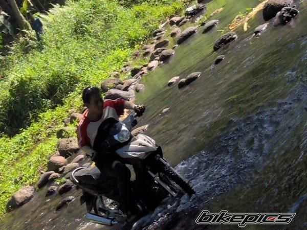 Photo 1503237