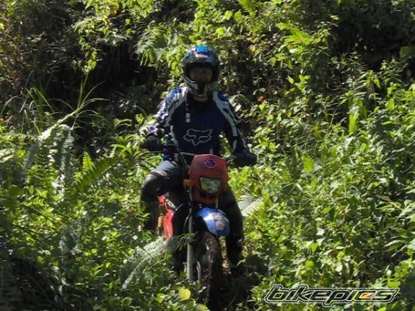 Photo 1503249