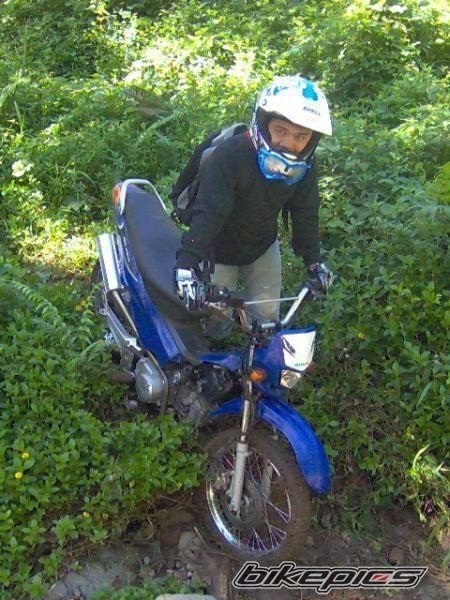 Photo 1503283