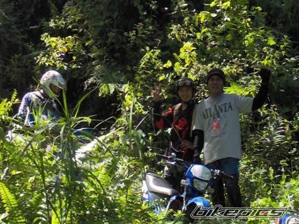 Photo 1503288
