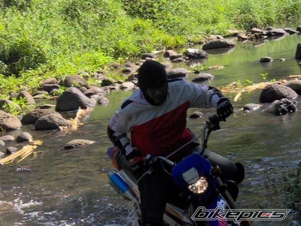 Photo 1503293