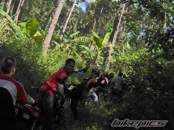 Photo 1503297