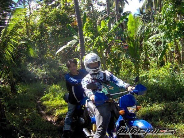 Photo 1503312