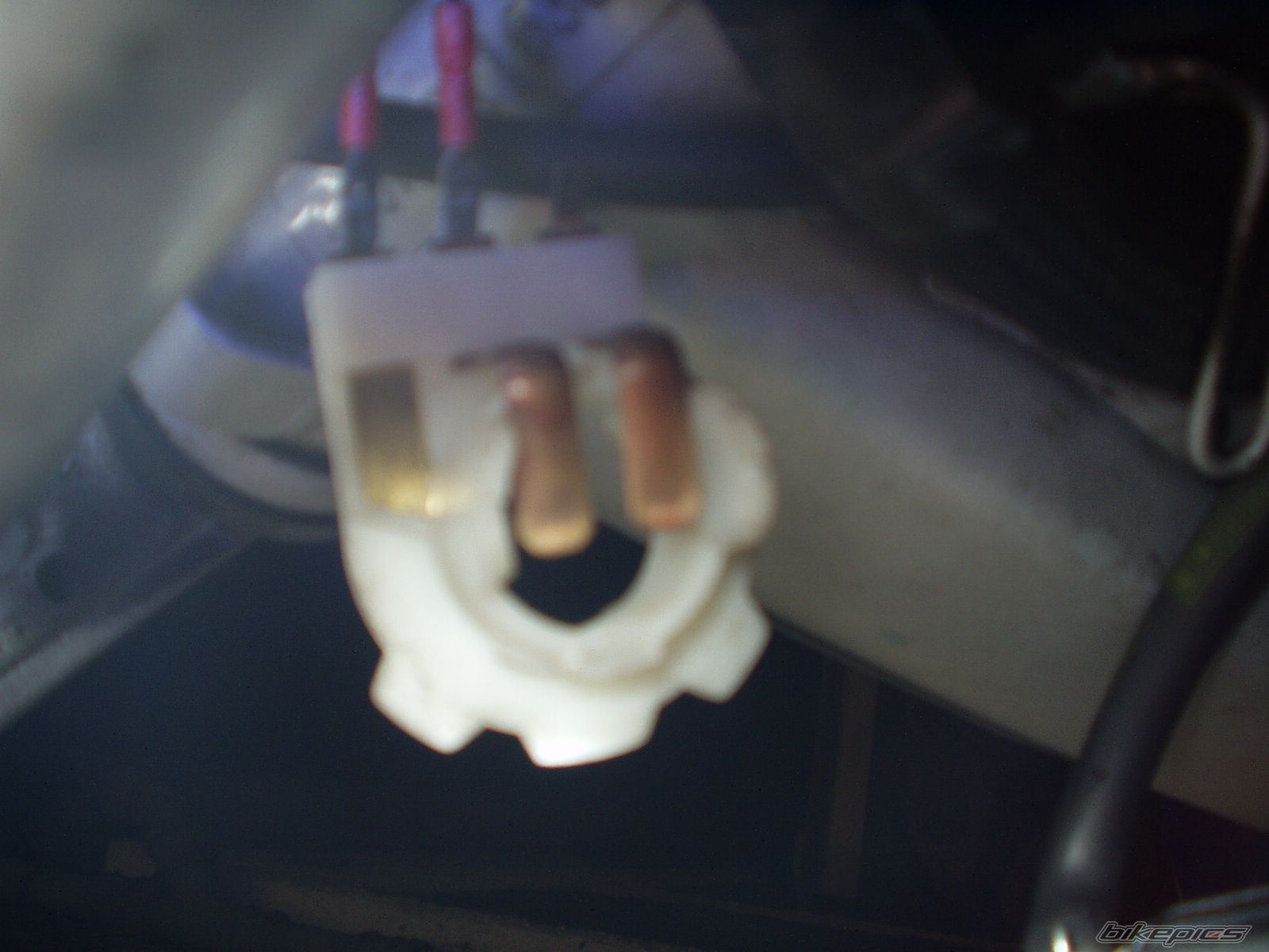 Photo 1503363