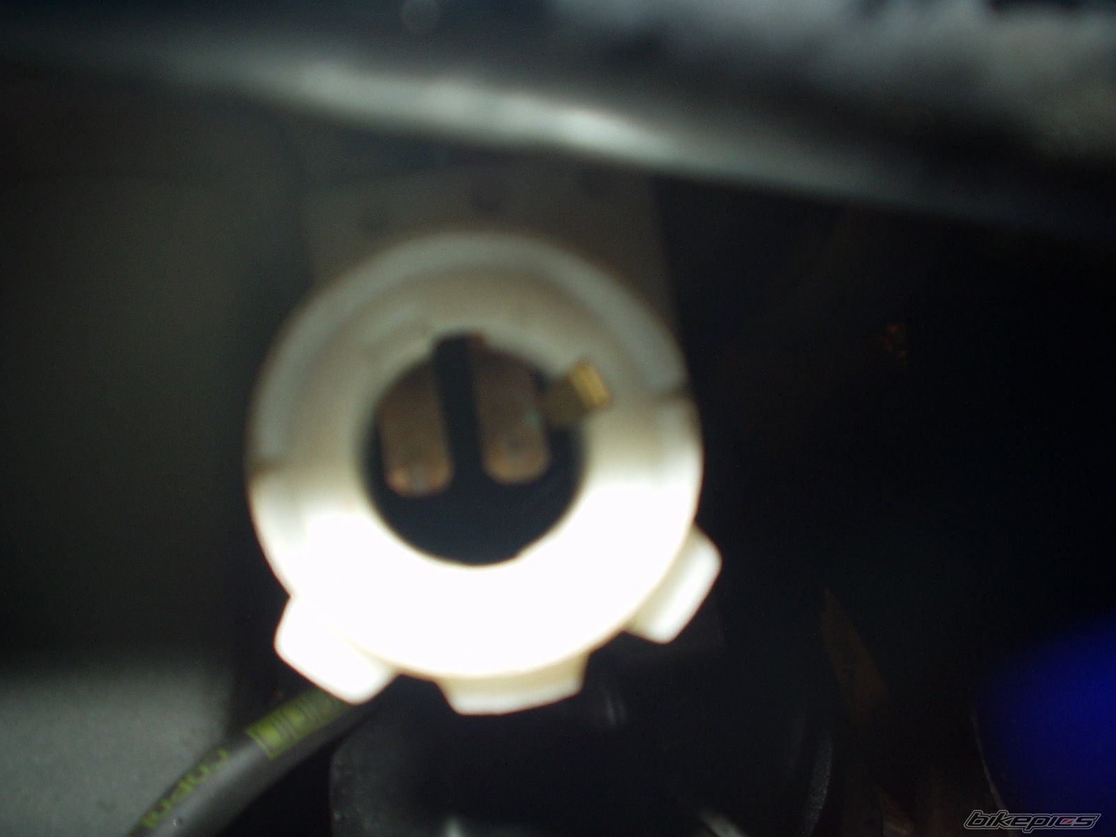 Photo 1503364