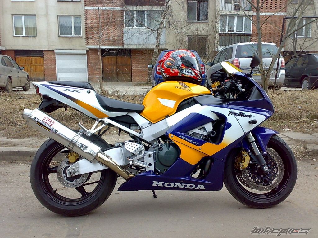 Photo 1503377