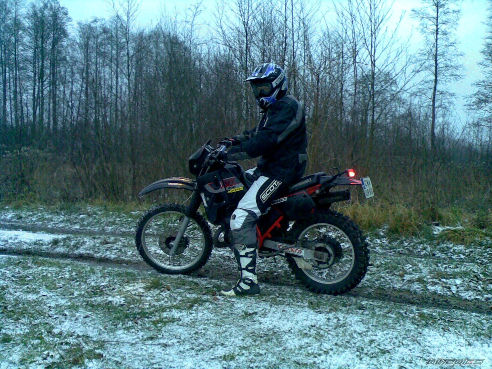 Photo 1503467