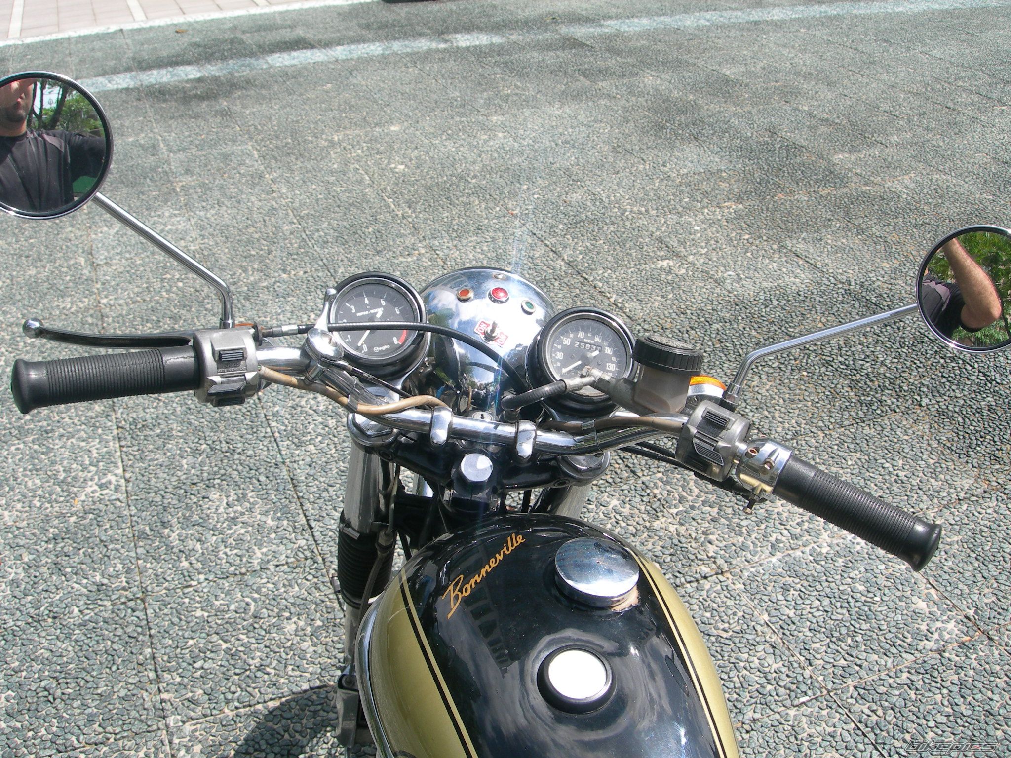 Photo 1503541