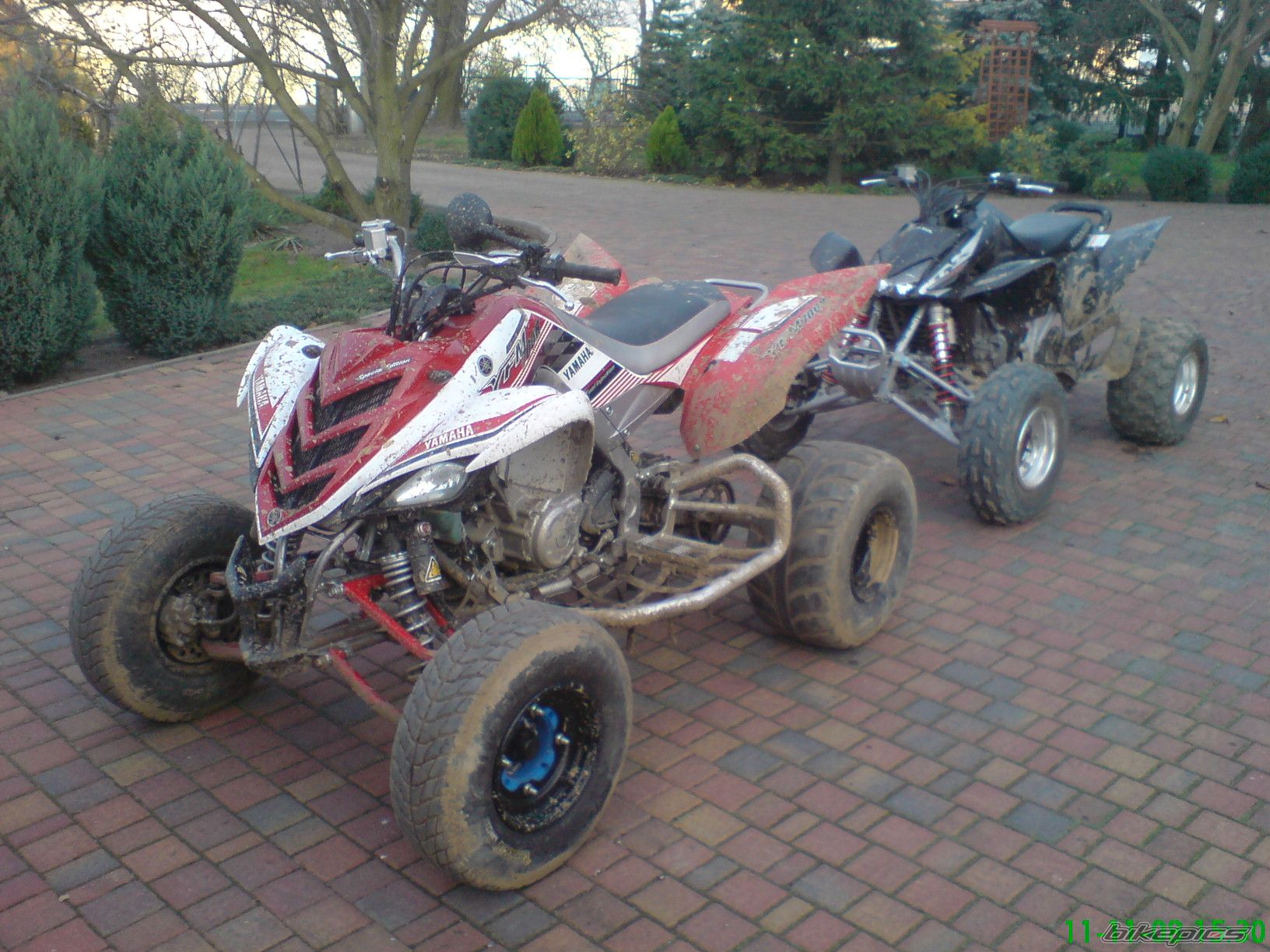 Photo 1503615