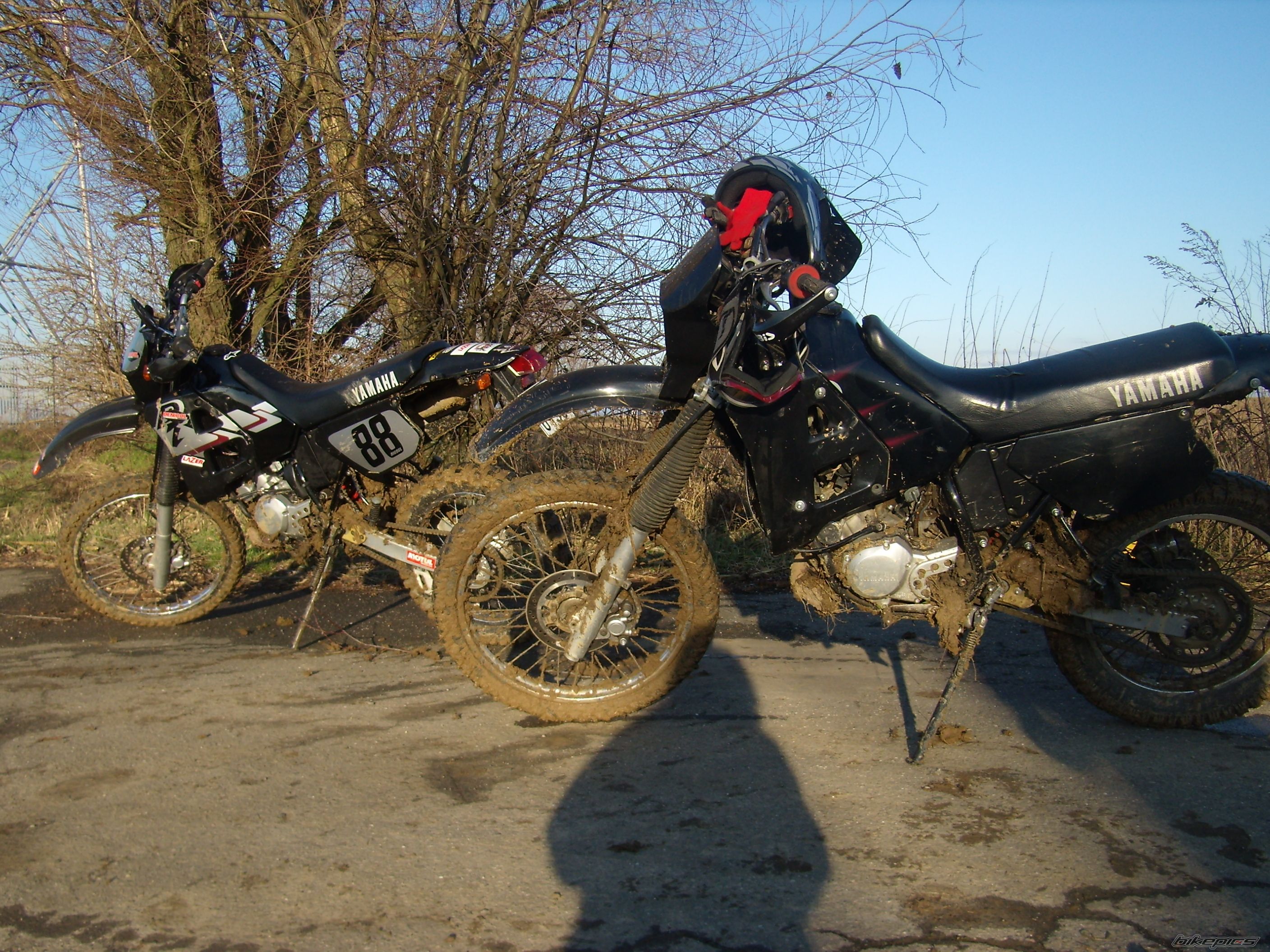 Photo 1503620