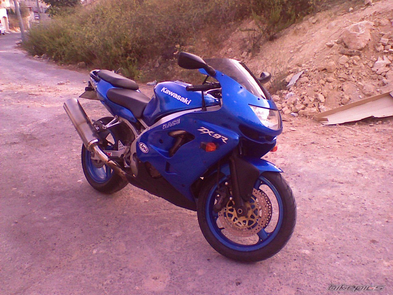 Photo 1503630