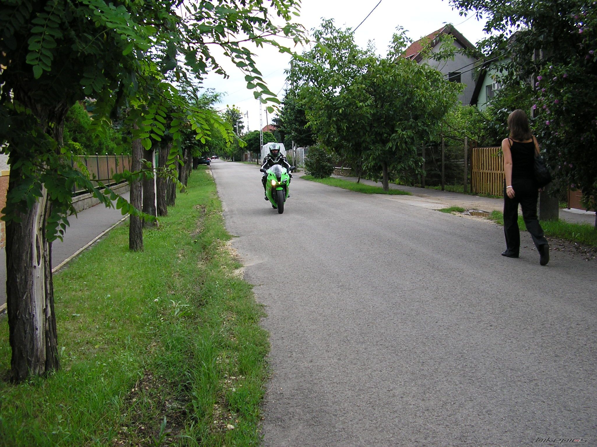 Photo 1503655