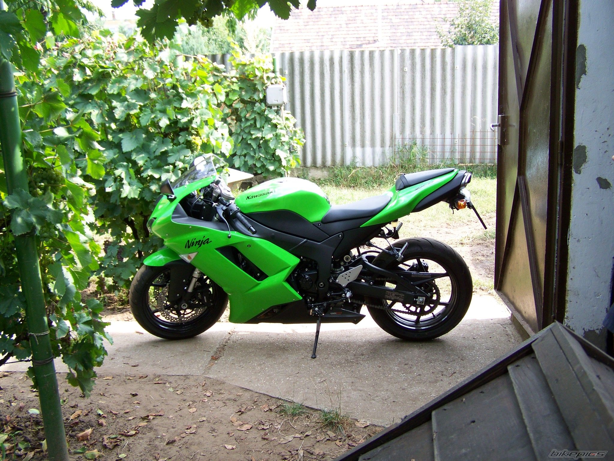 Photo 1503713
