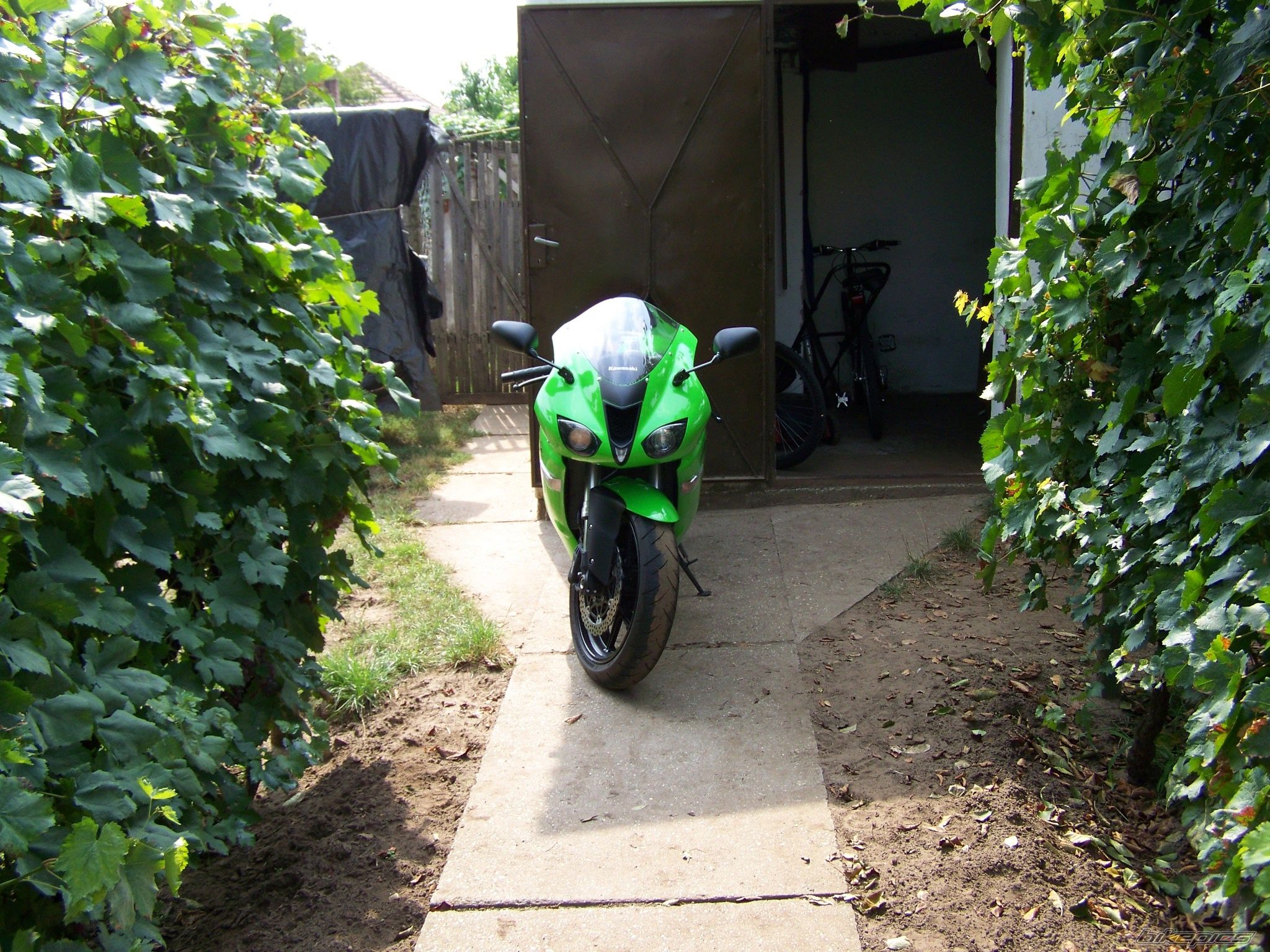 Photo 1503743