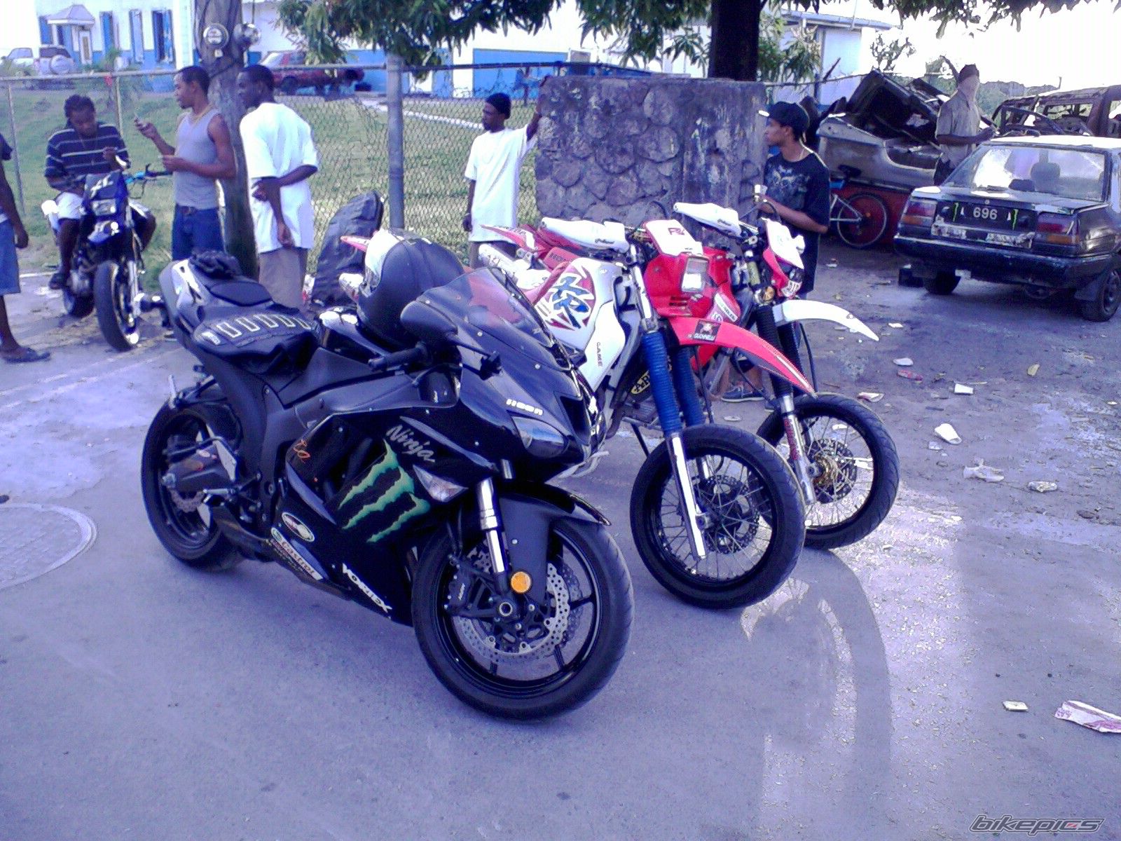 Photo 1503779