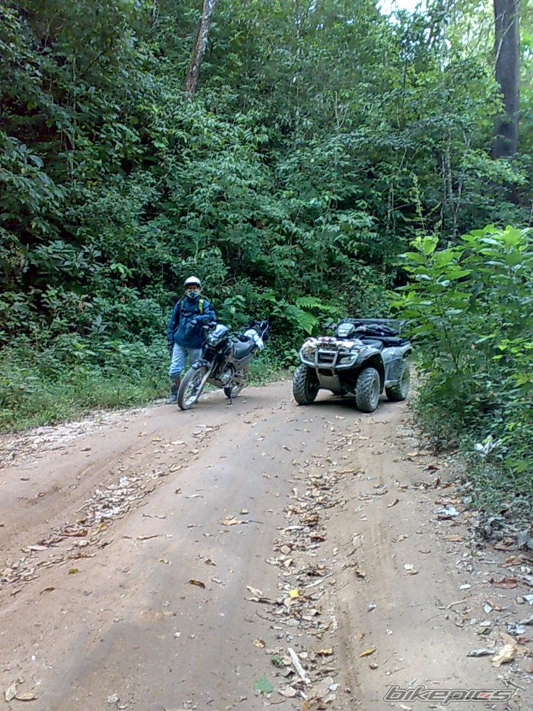 Photo 1503912