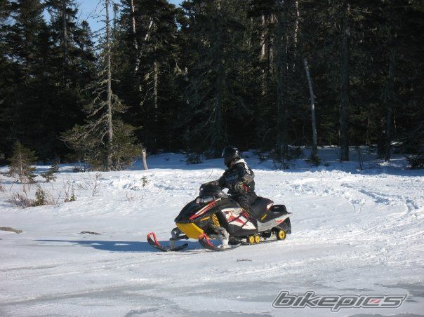 Photo 1503933