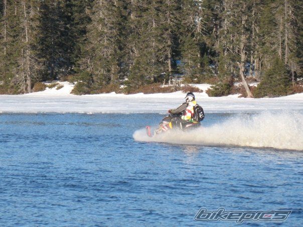 Photo 1503935