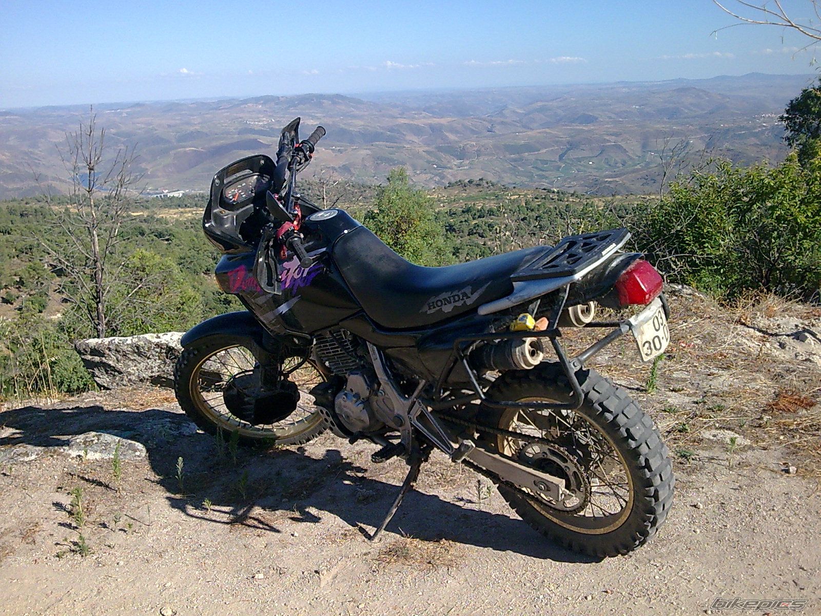 Photo 1503998