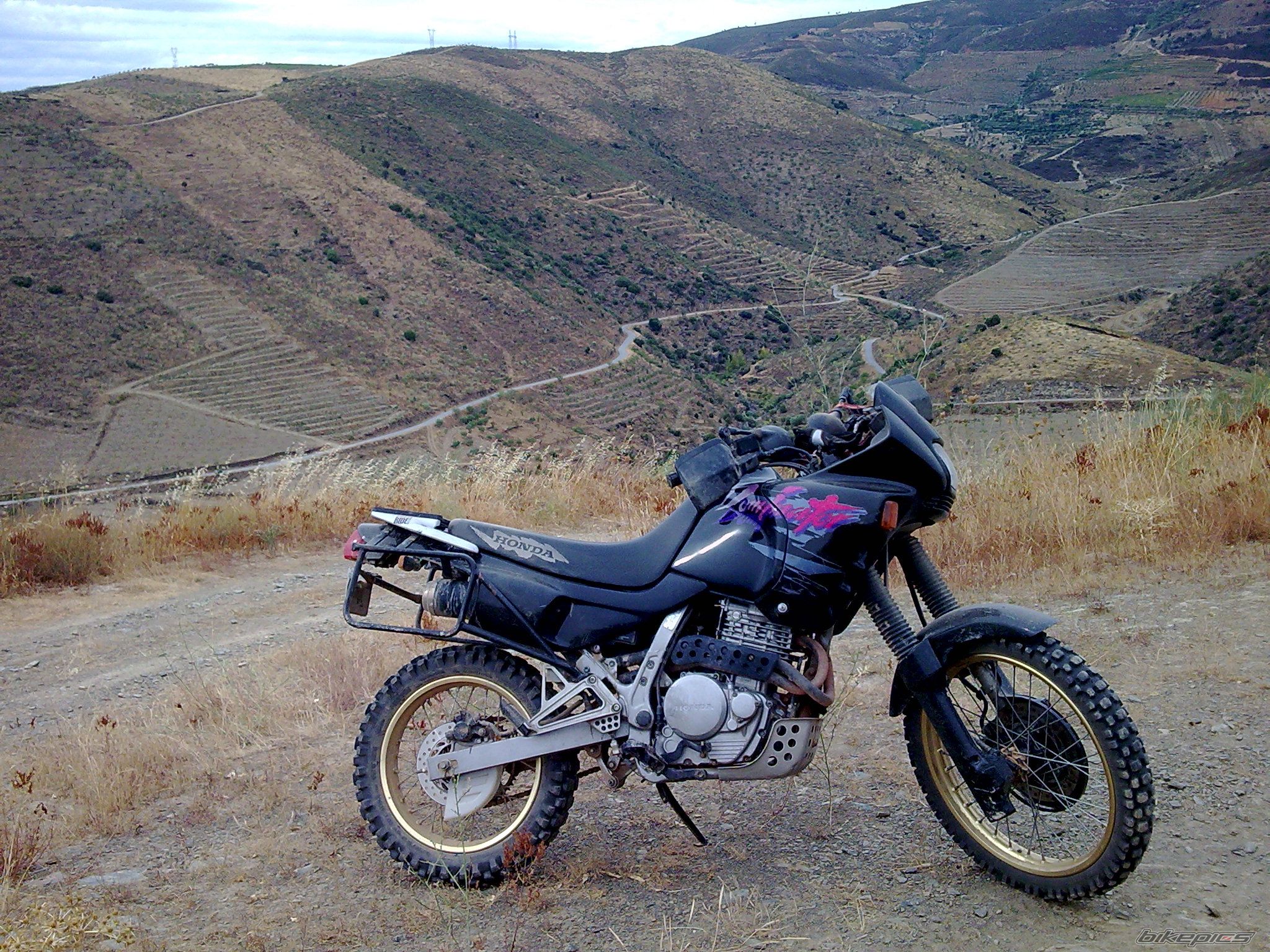 Photo 1504002