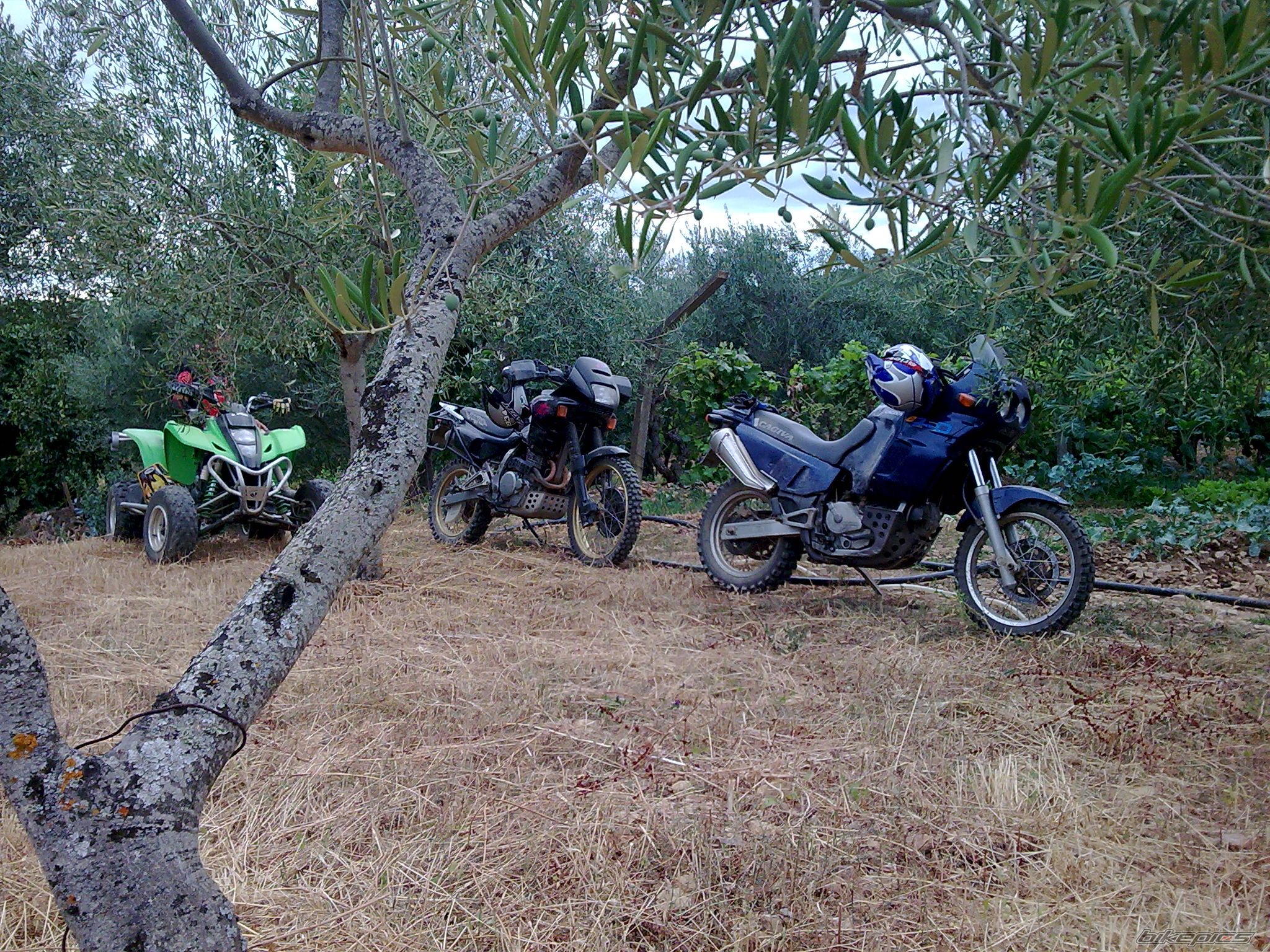 Photo 1504004