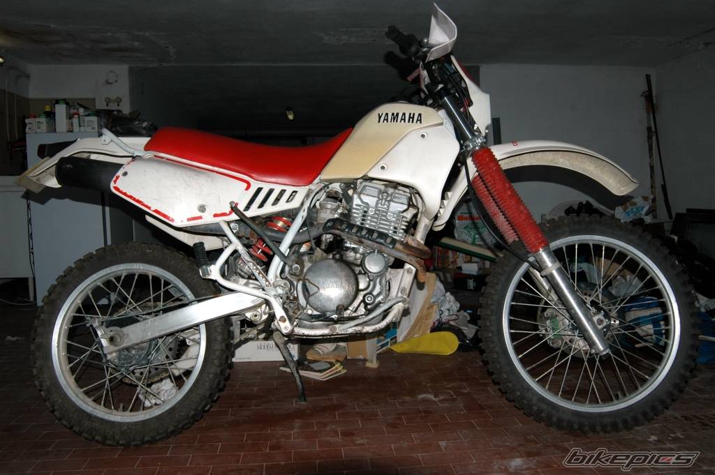Bike Photo 150401
