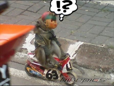 Photo 1504011