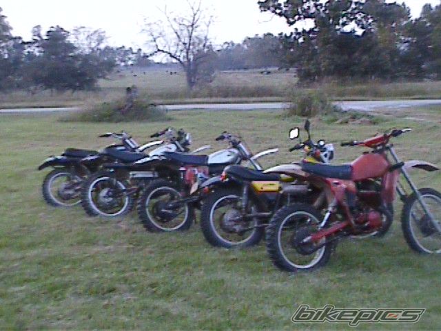 Photo 1504017