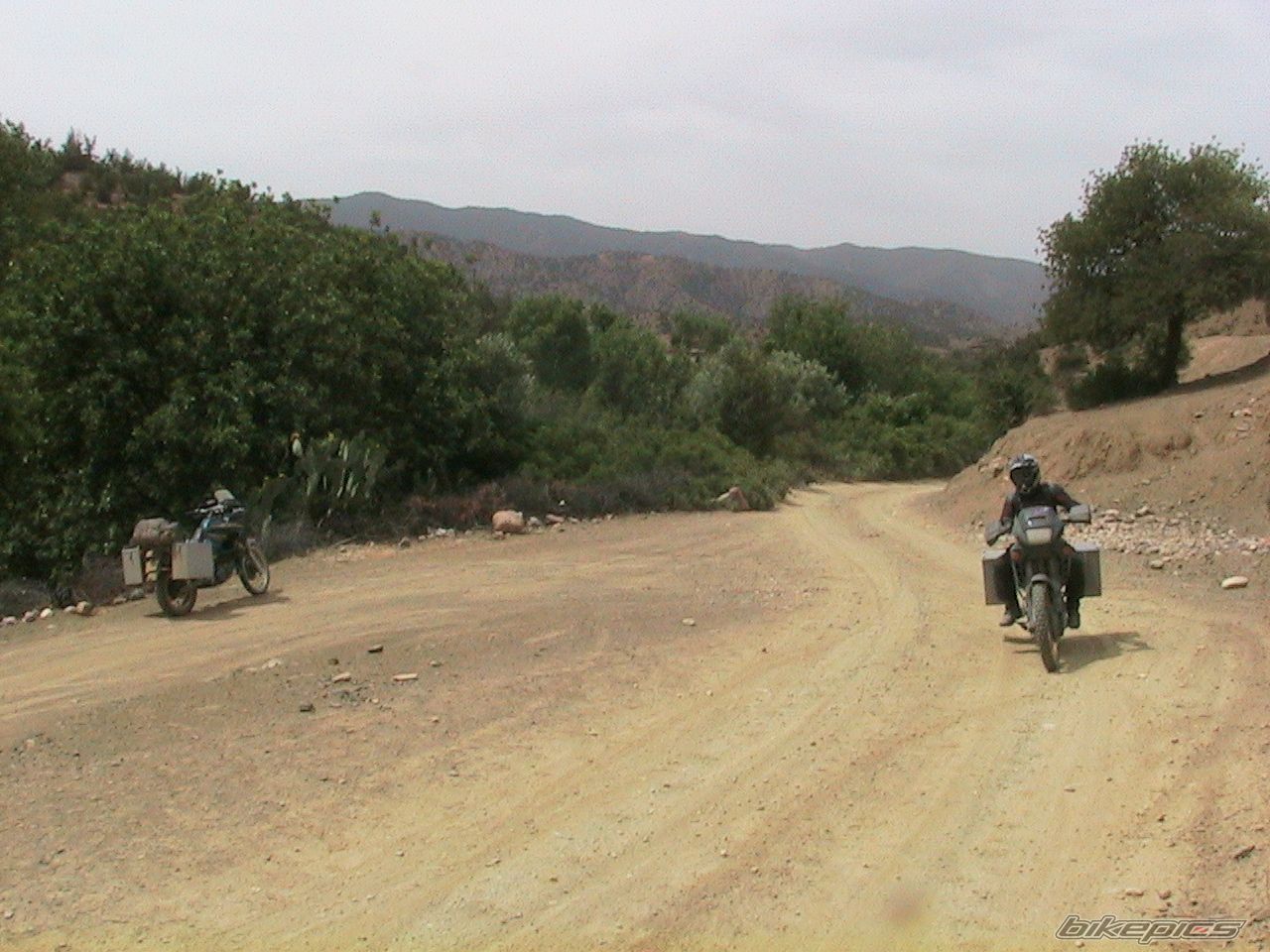 Photo 1504021