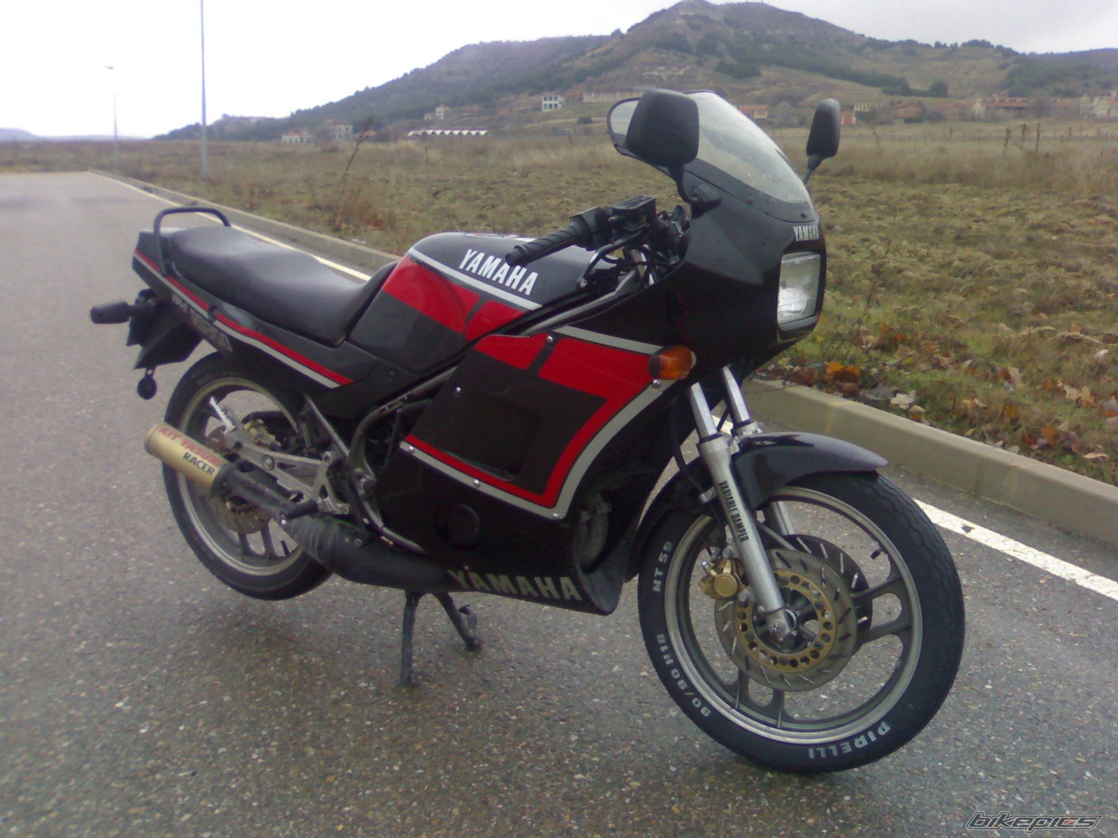 Photo 1504214