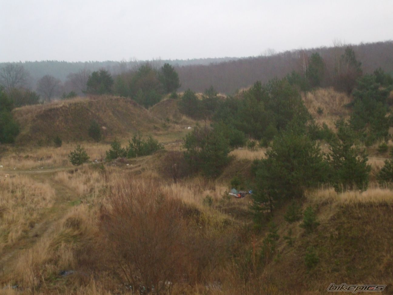 Photo 1504282