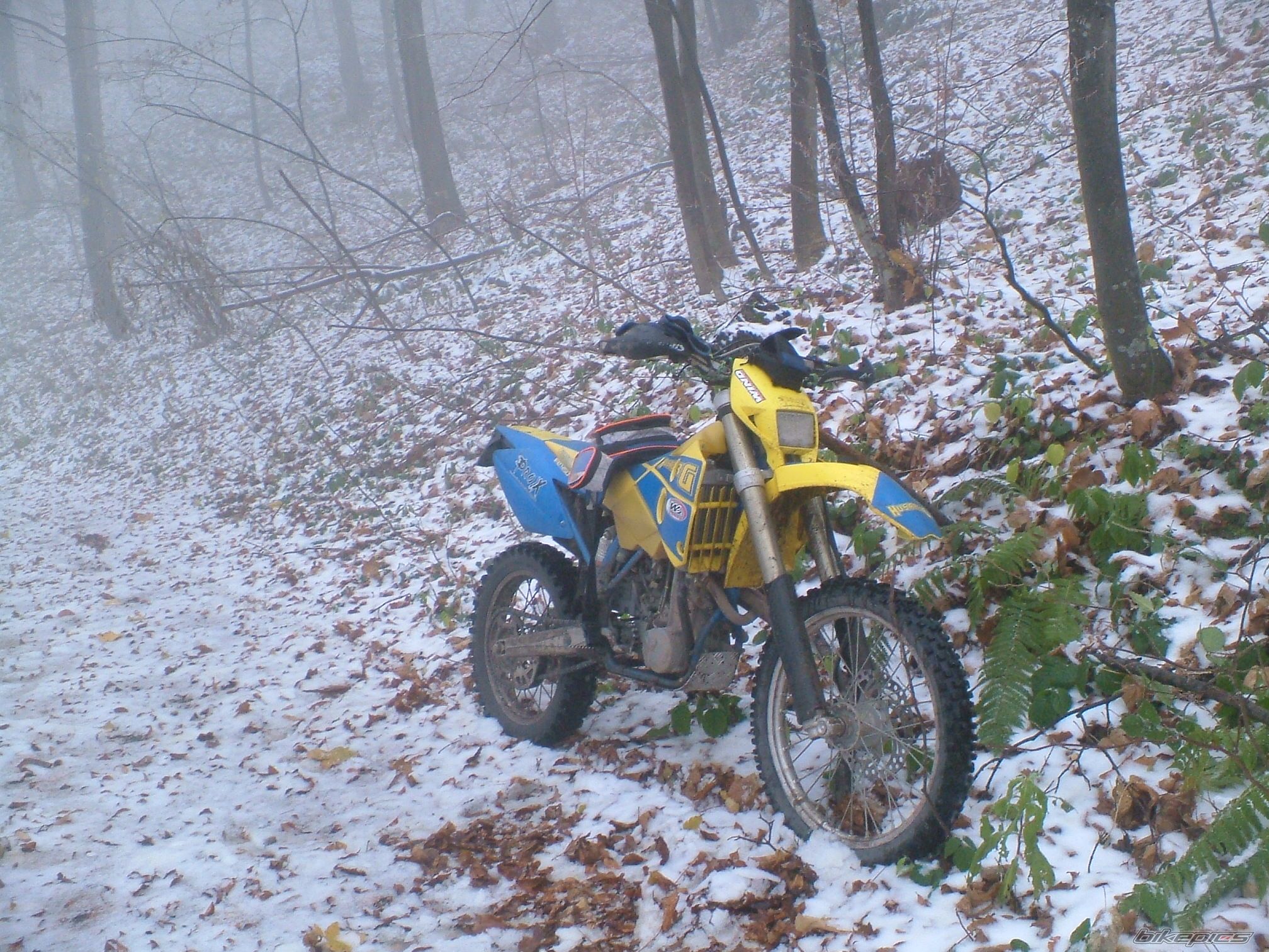 Bike Photo 1504526