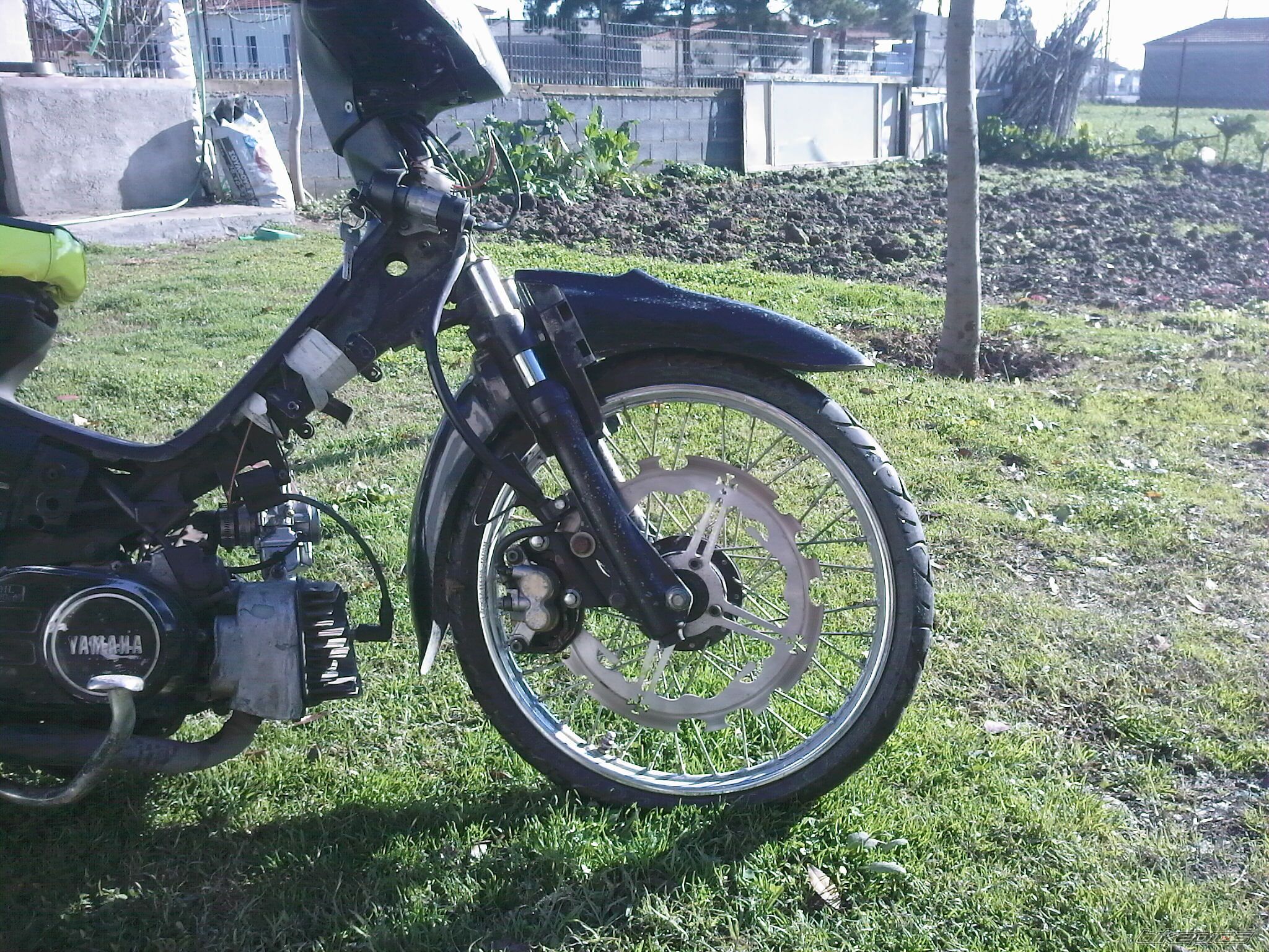 Photo 1504672