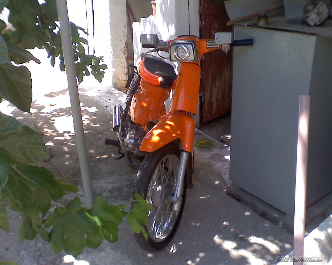 Photo 1504697