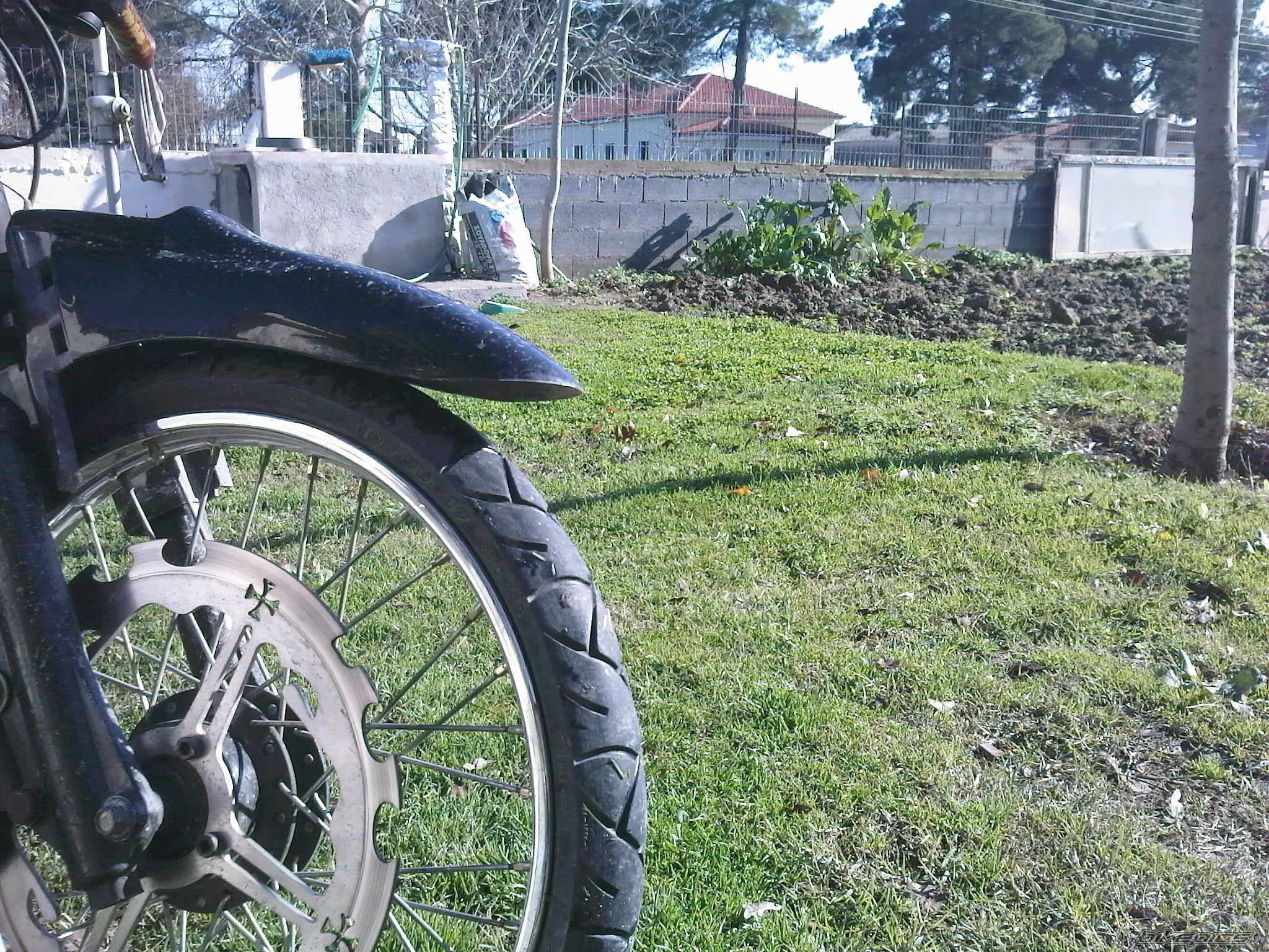 Photo 1504700