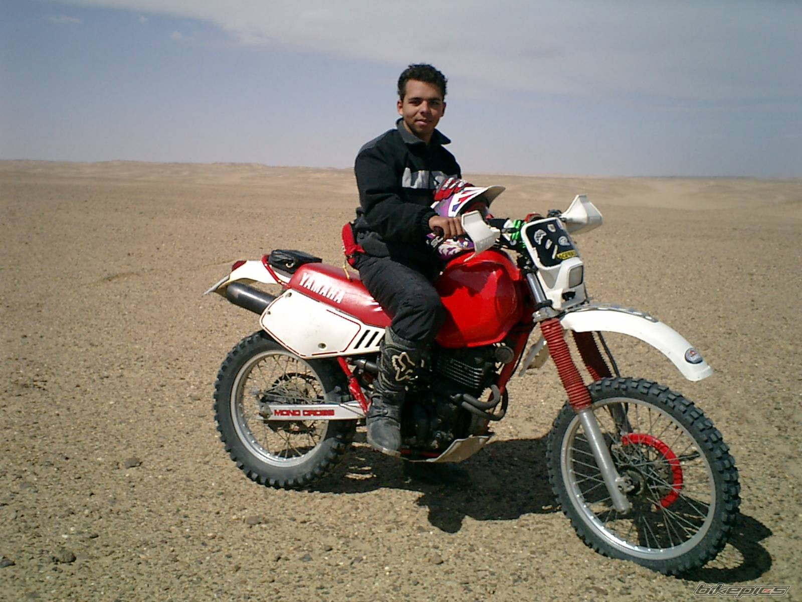 Photo 150473