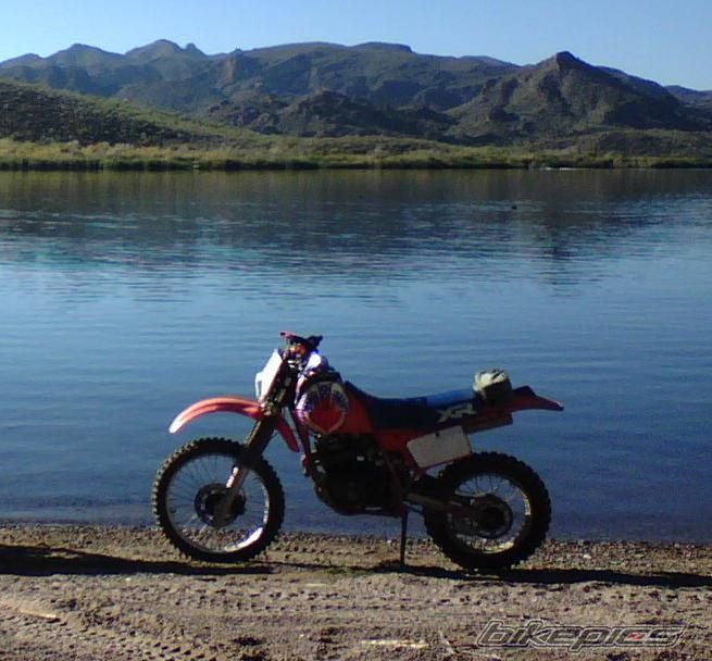 Photo 1504843