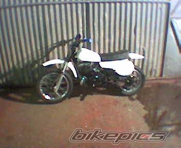 Photo 150486