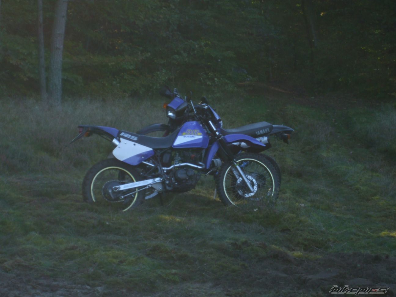 Photo 1504875