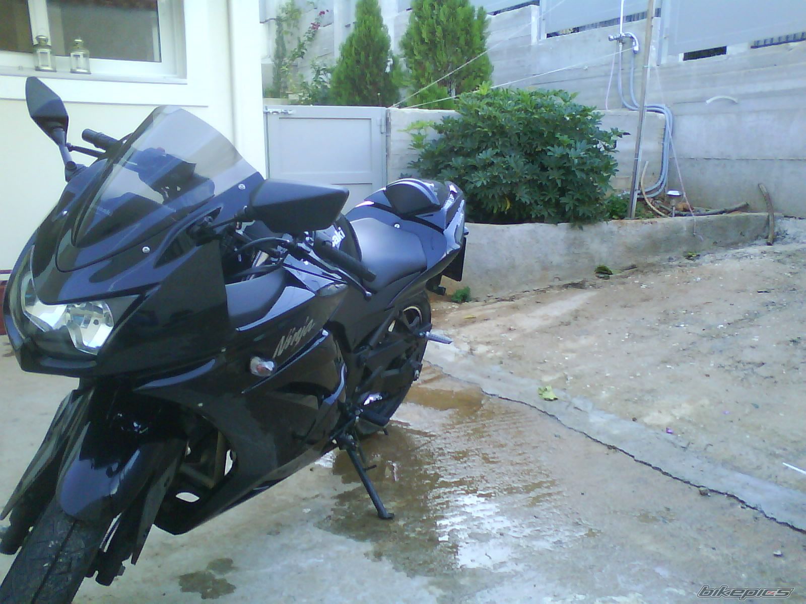 Photo 1504906