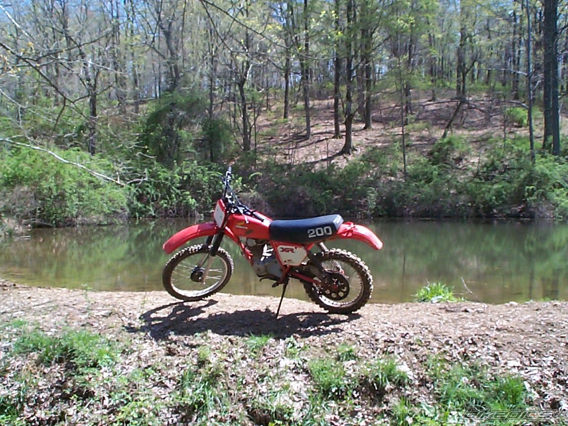 Photo 1505009