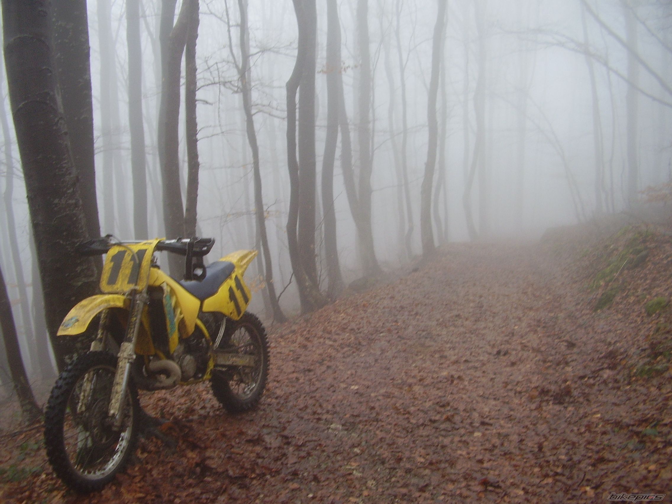 Bike Photo 1505268