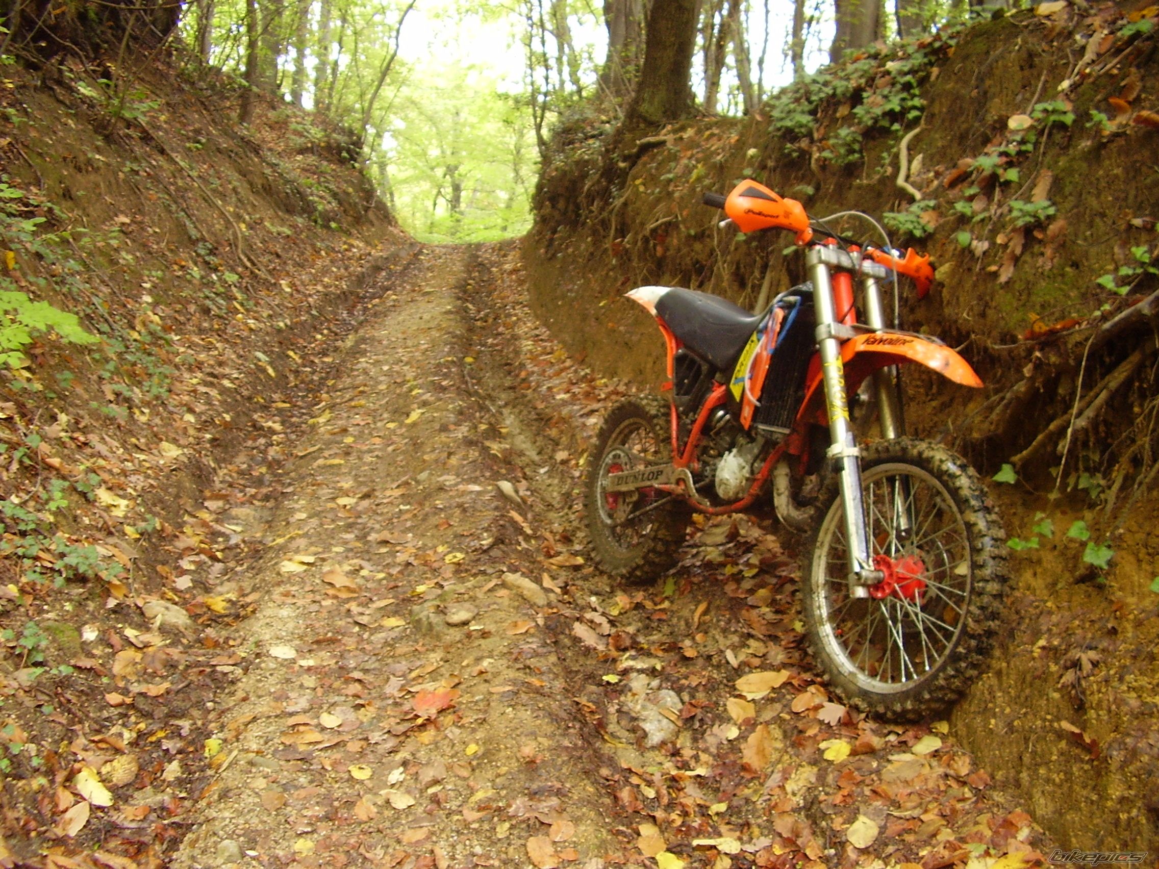 Bike Photo 1505269