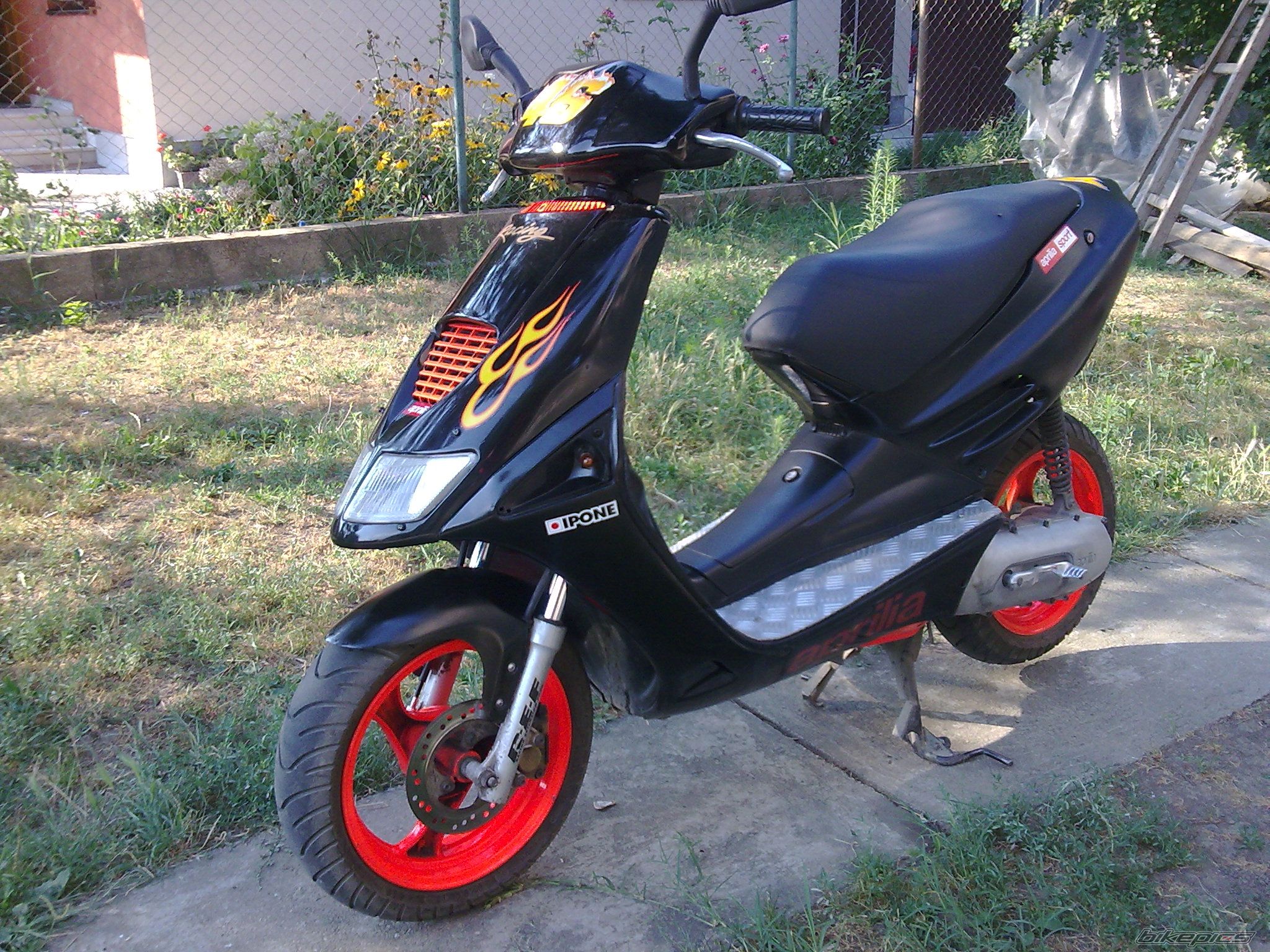 Photo 1505556