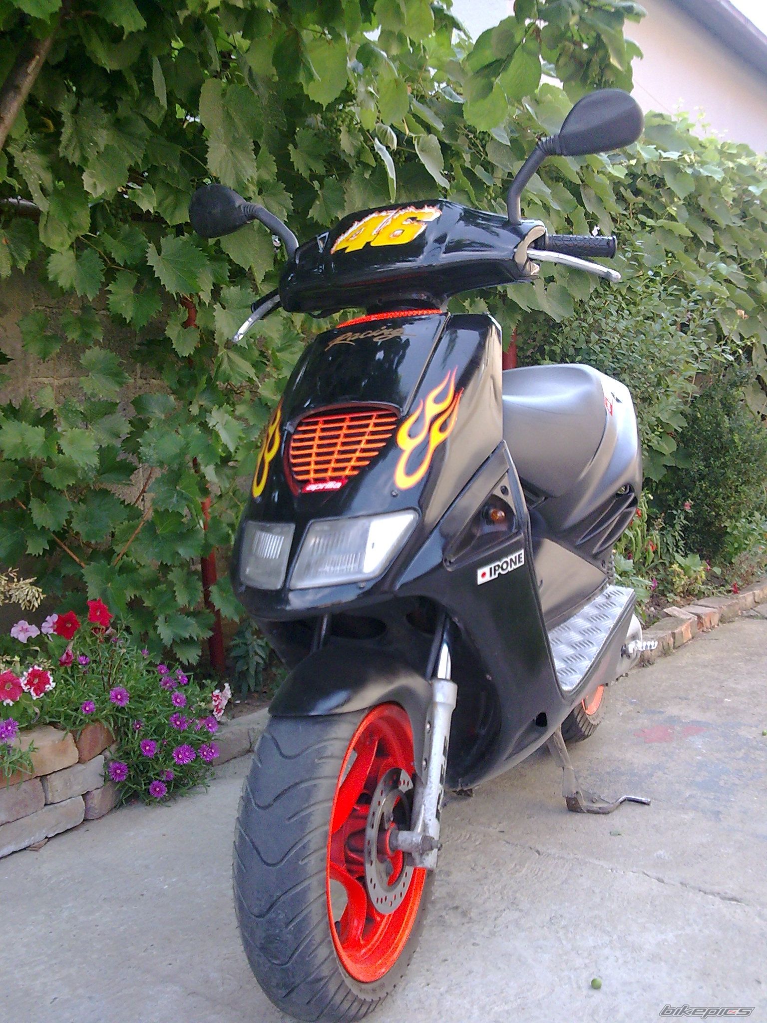 Photo 1505621