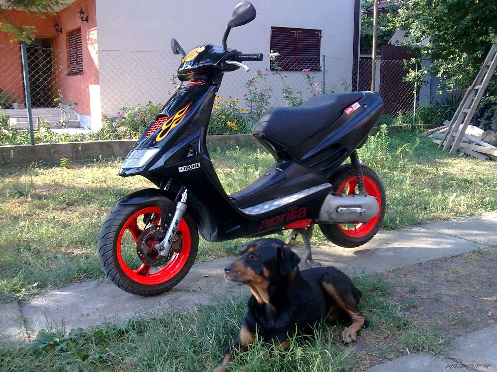 Photo 1505622