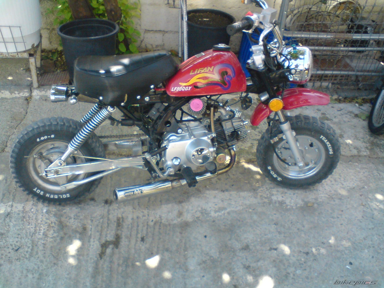 Photo 1505772