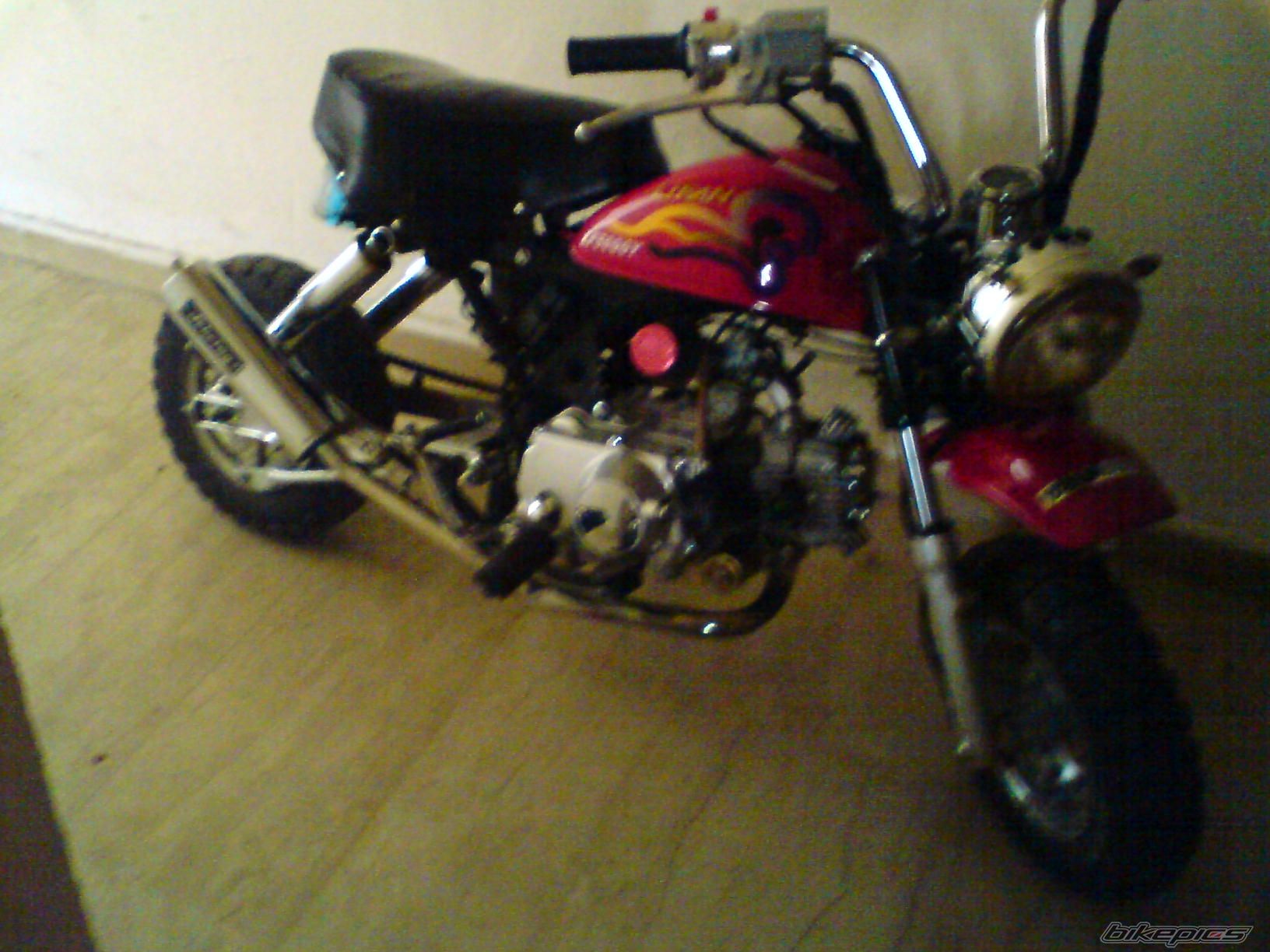 Photo 1505780