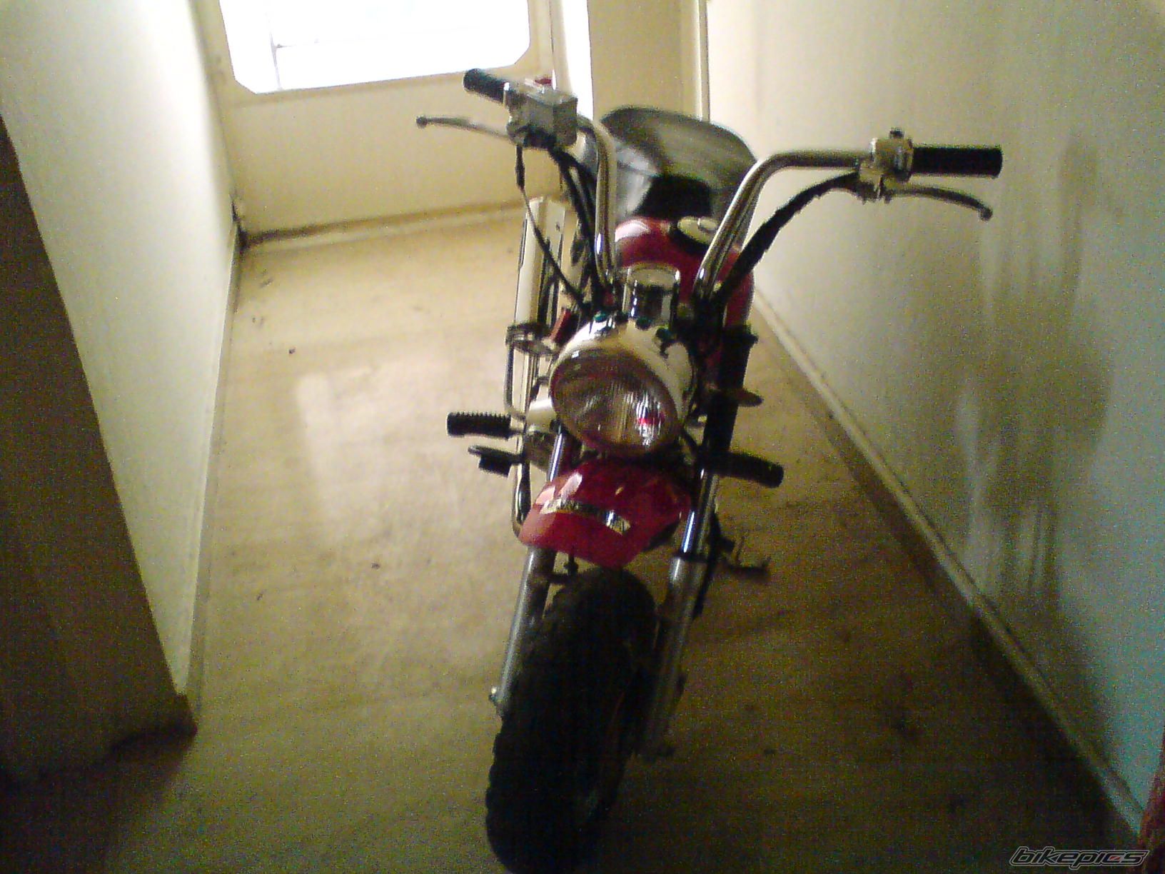Photo 1505782